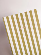 Fin Studio Striped Notebook with Contrast Colour